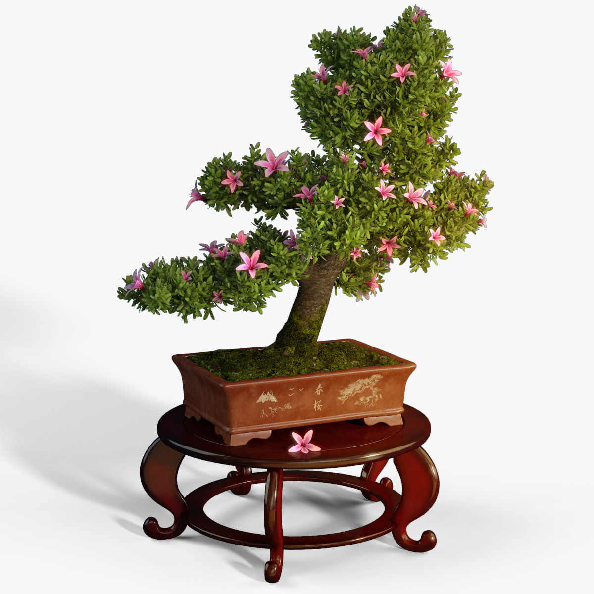 Artstation Bonsai Tree 3d Model Timur Badaev
