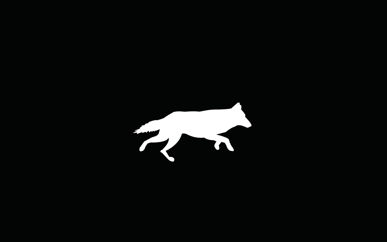 Artstation Wolf Running Animation Michelle Bohorquez 1ladywolfiam has shared an animated gif from photobucket. artstation wolf running animation
