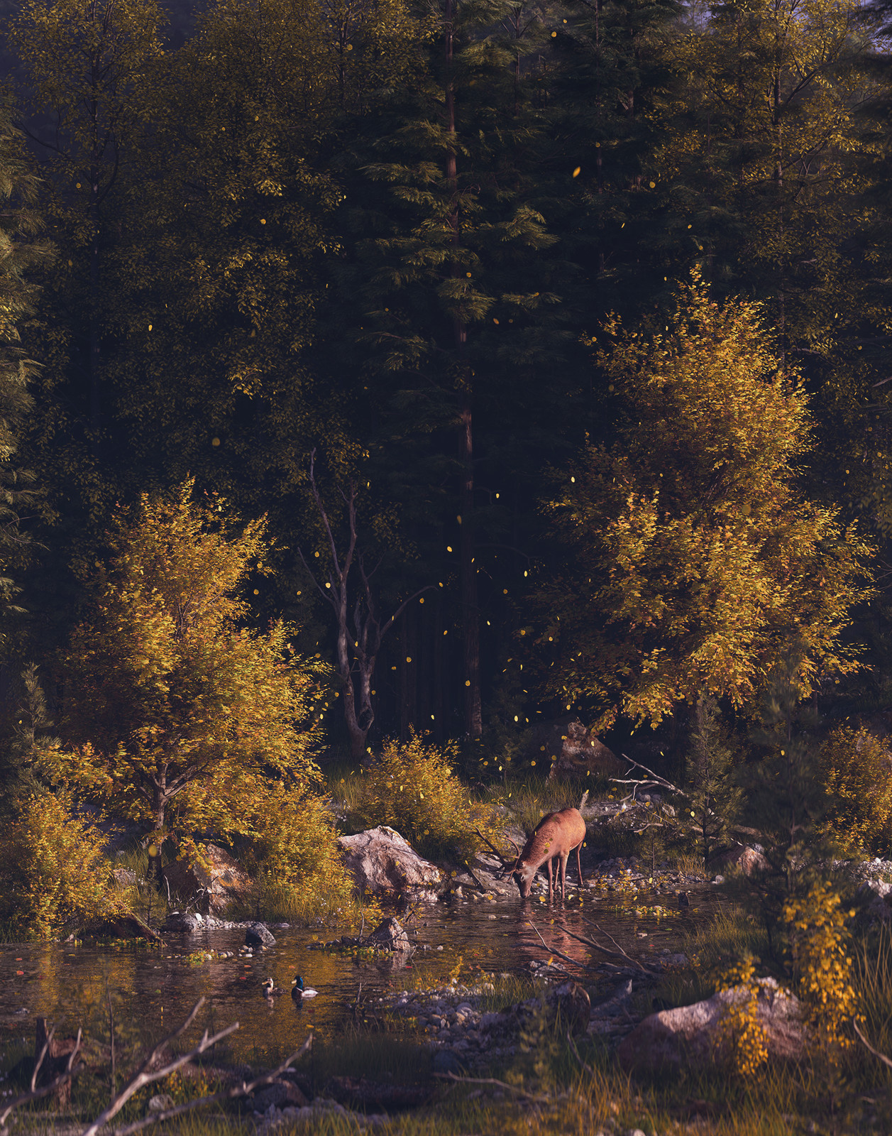 Autumn Creek.