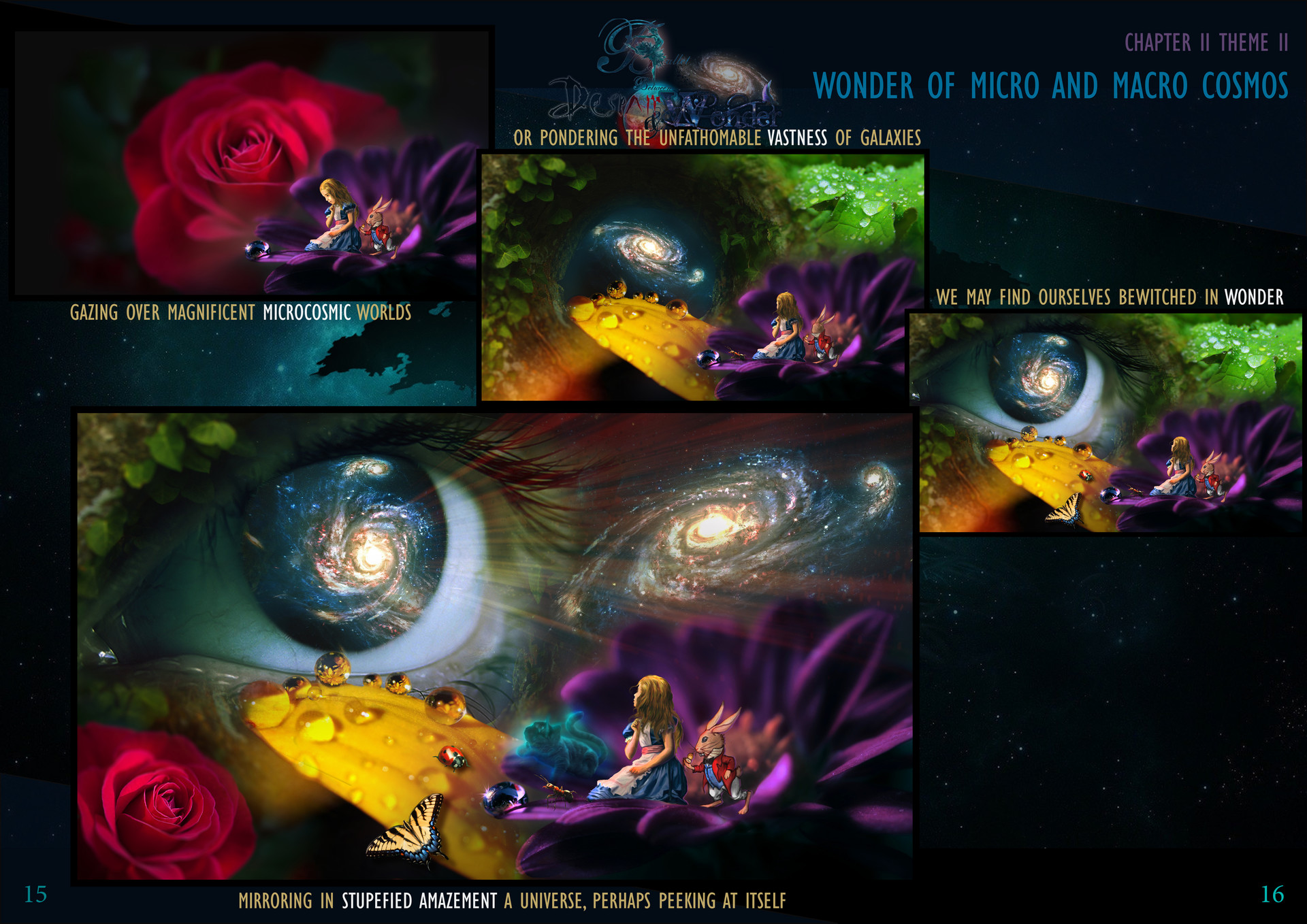 Macro cosmos