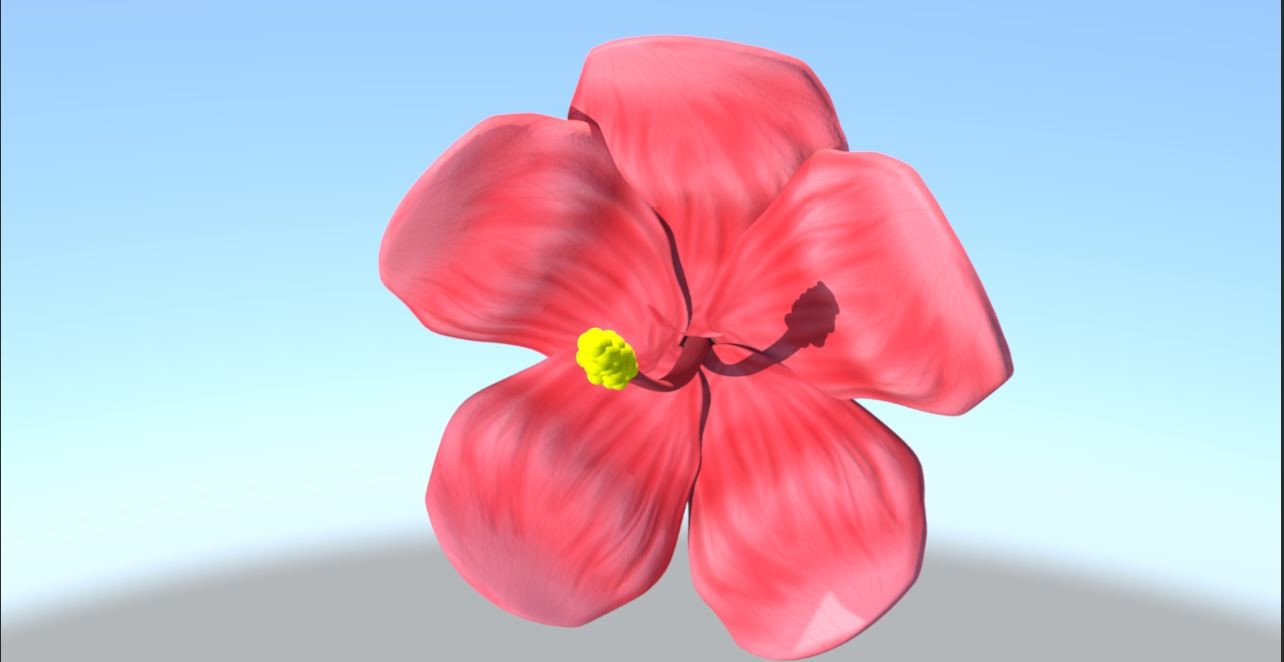 Wan HiPenTH - 3D Model of a Hibiscus Flower