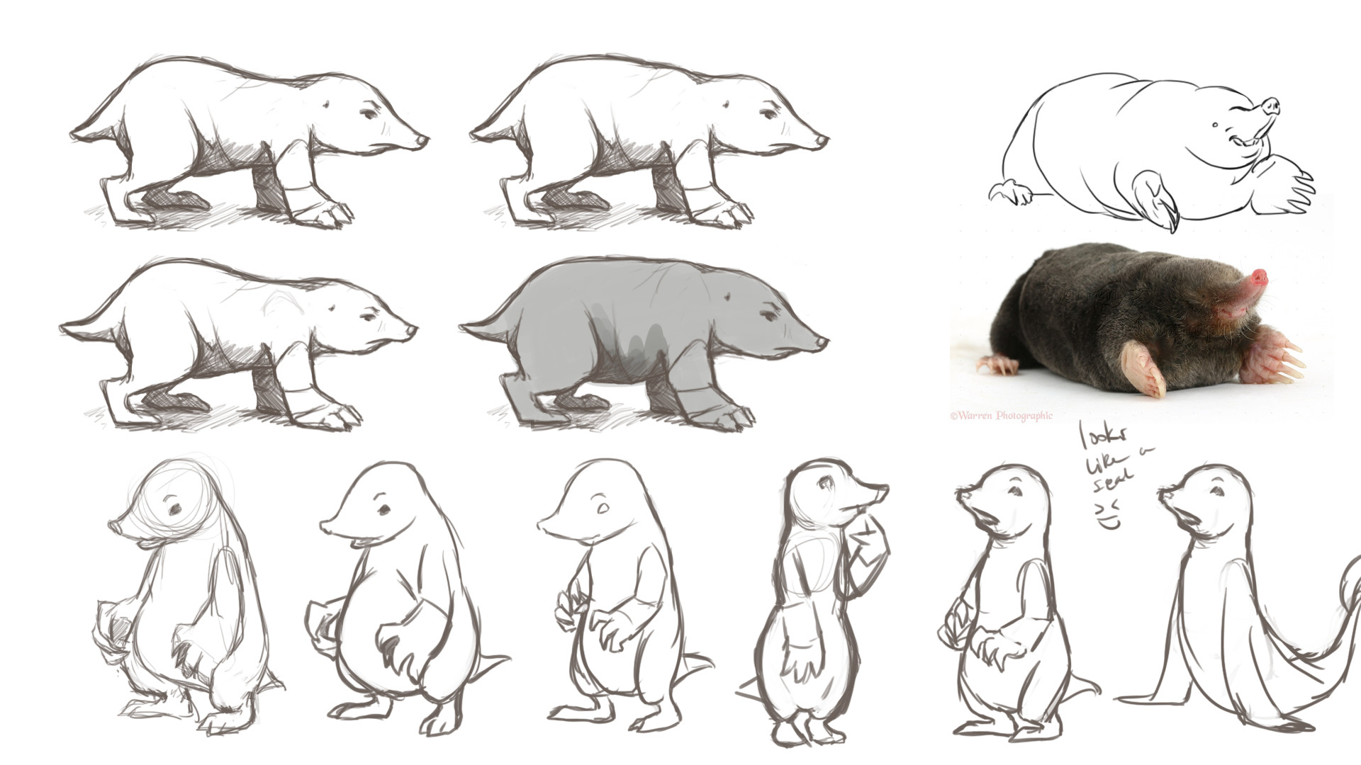 Erin Marantette Redwall Moles