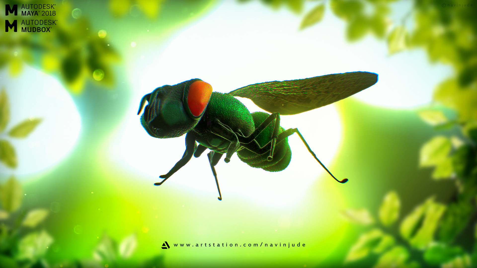 Artstation Housefly 3d Modeling Navin Jude