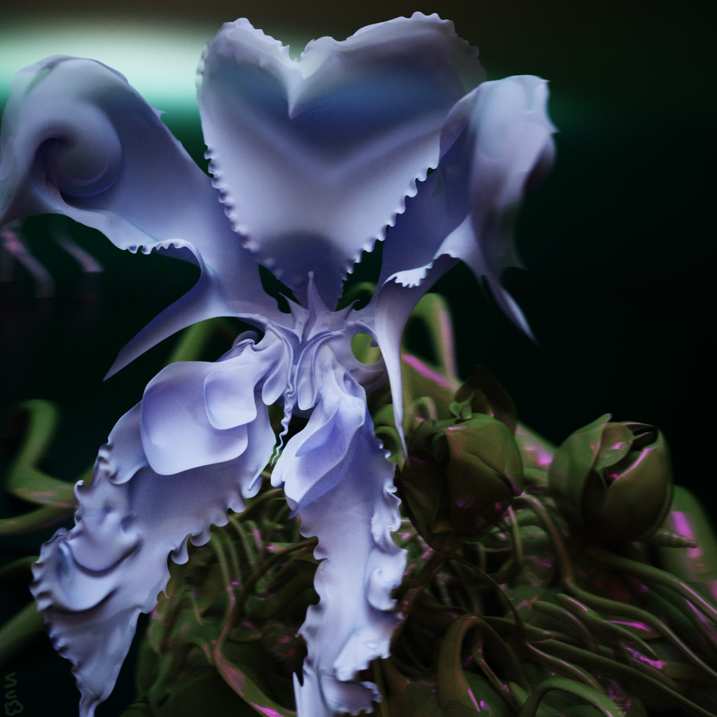 The River Orchid New Takeaway Menu 2019 Picture Of The River Orchid Chinese Restaurant North Richmond Tripadvisor