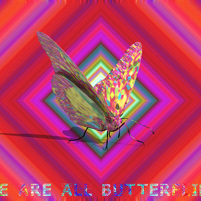 Chafik design butterflies