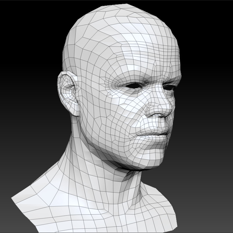 Создание 3д людей. 3d Mesh head. Модель головы для рисования. Модель человеческой головы. 3д модель головы человека.