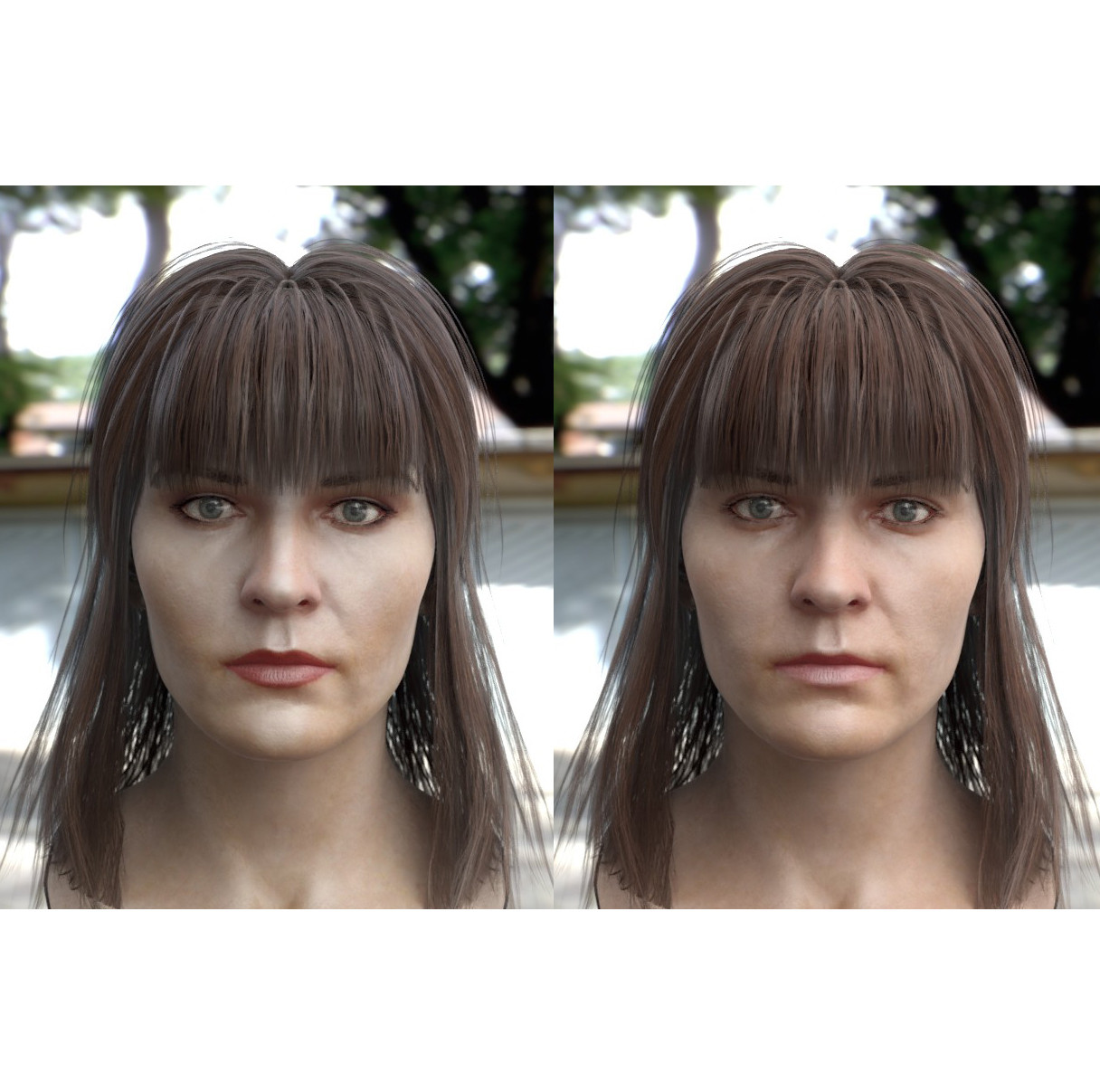 Stephan Plotnicov The 3d Model Of A Woman Head Female