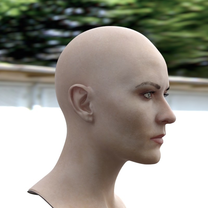 Artstation The 3d Model Of A Woman Head Female Stephan Plotnicov