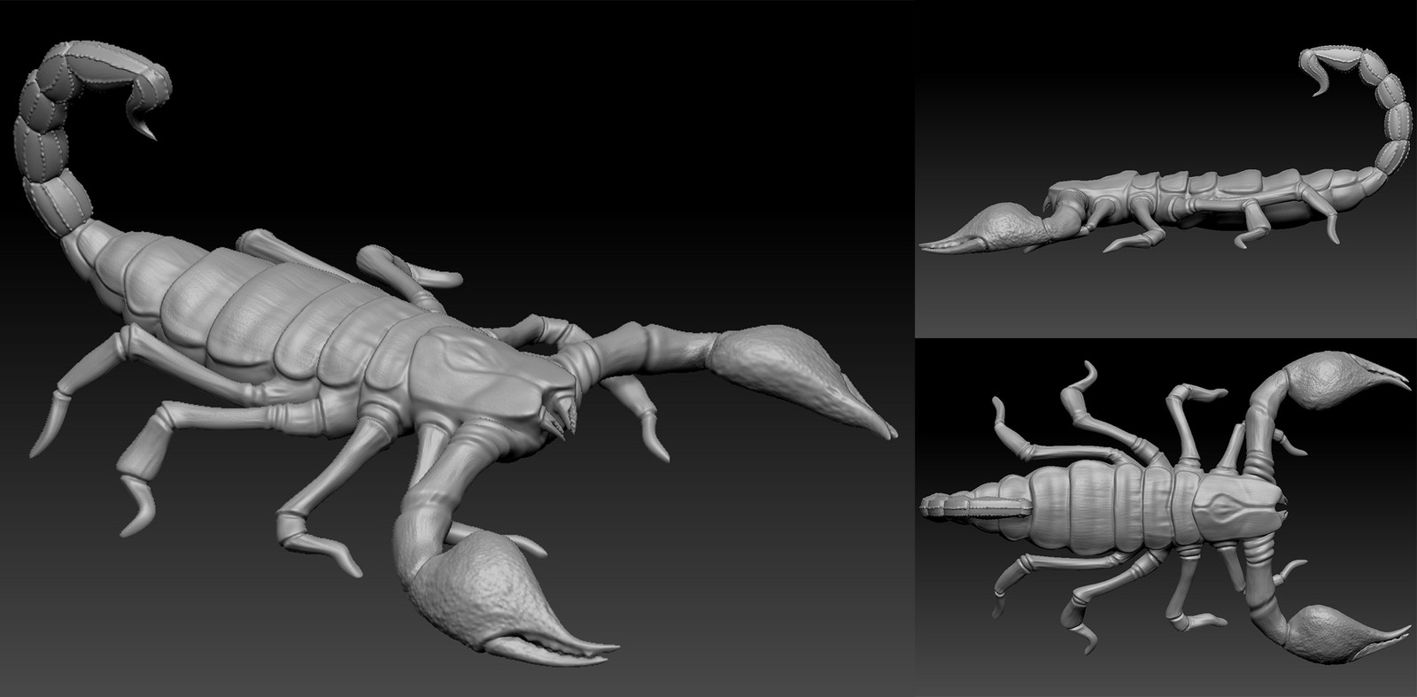 Scorpion 3D Model for VFX Project.
