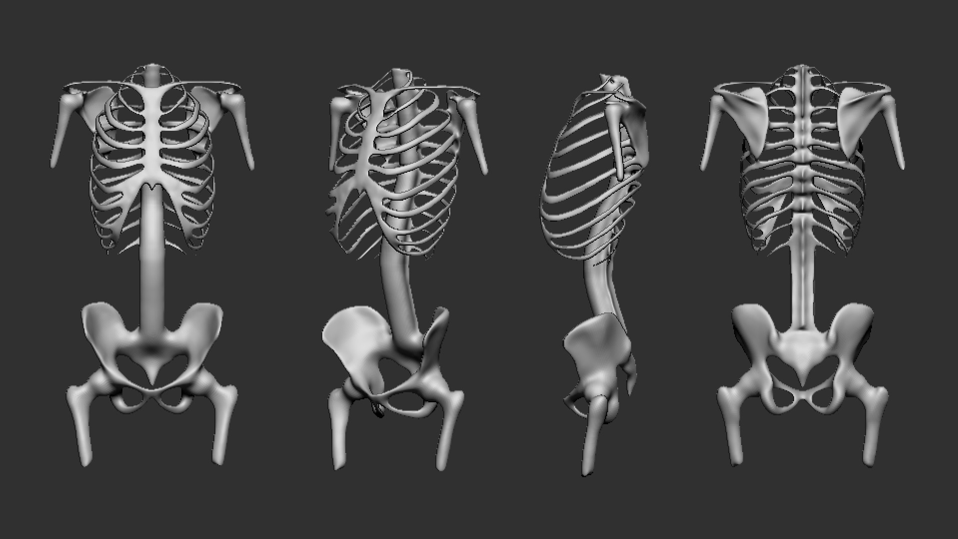 ArtStation - Human Bone