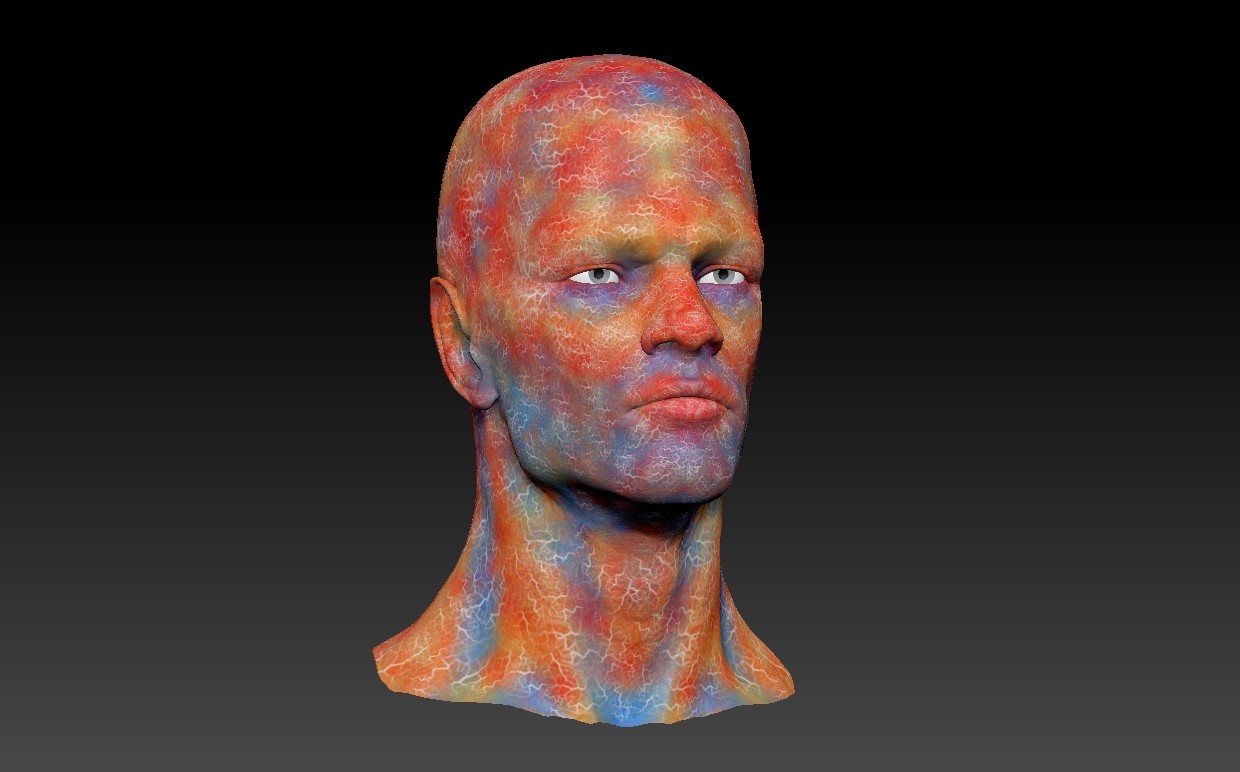 Teasa Copprue Zbrush Skin Painting