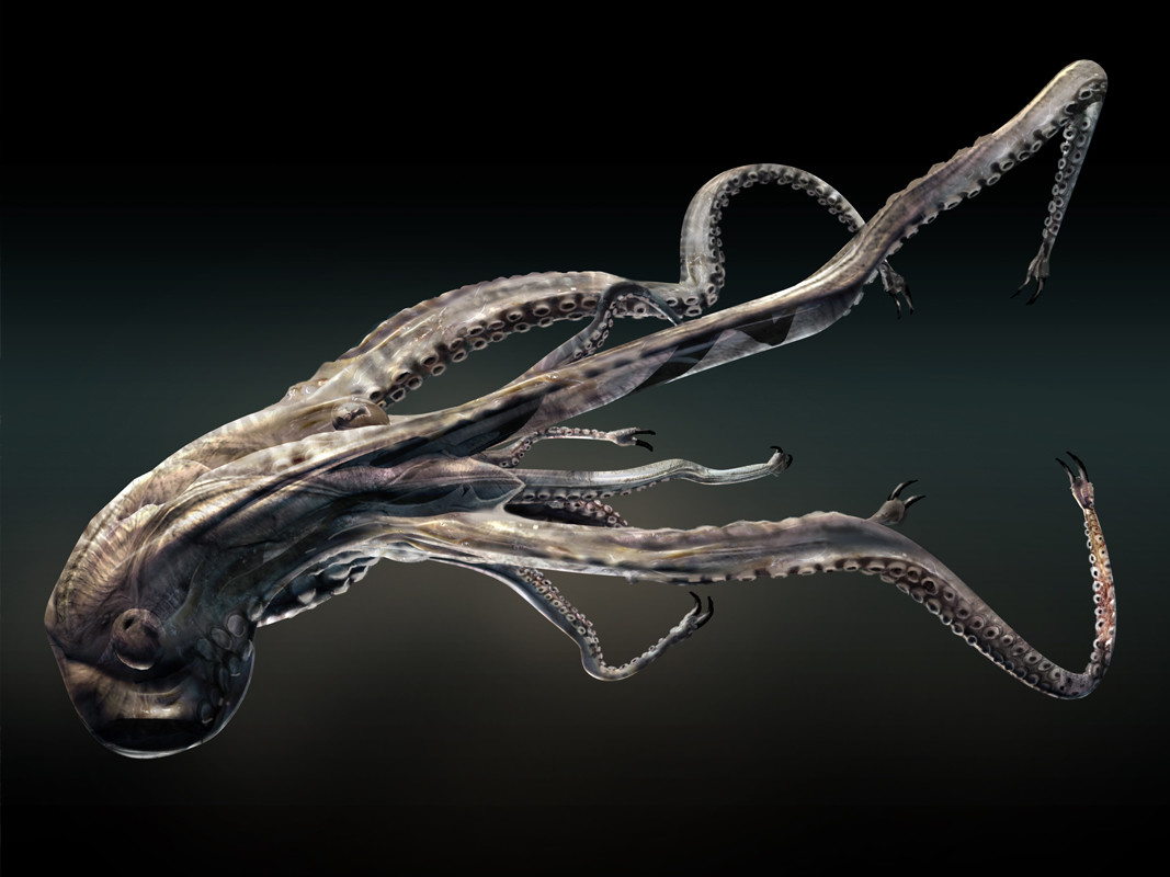 ArtStation Tentacle