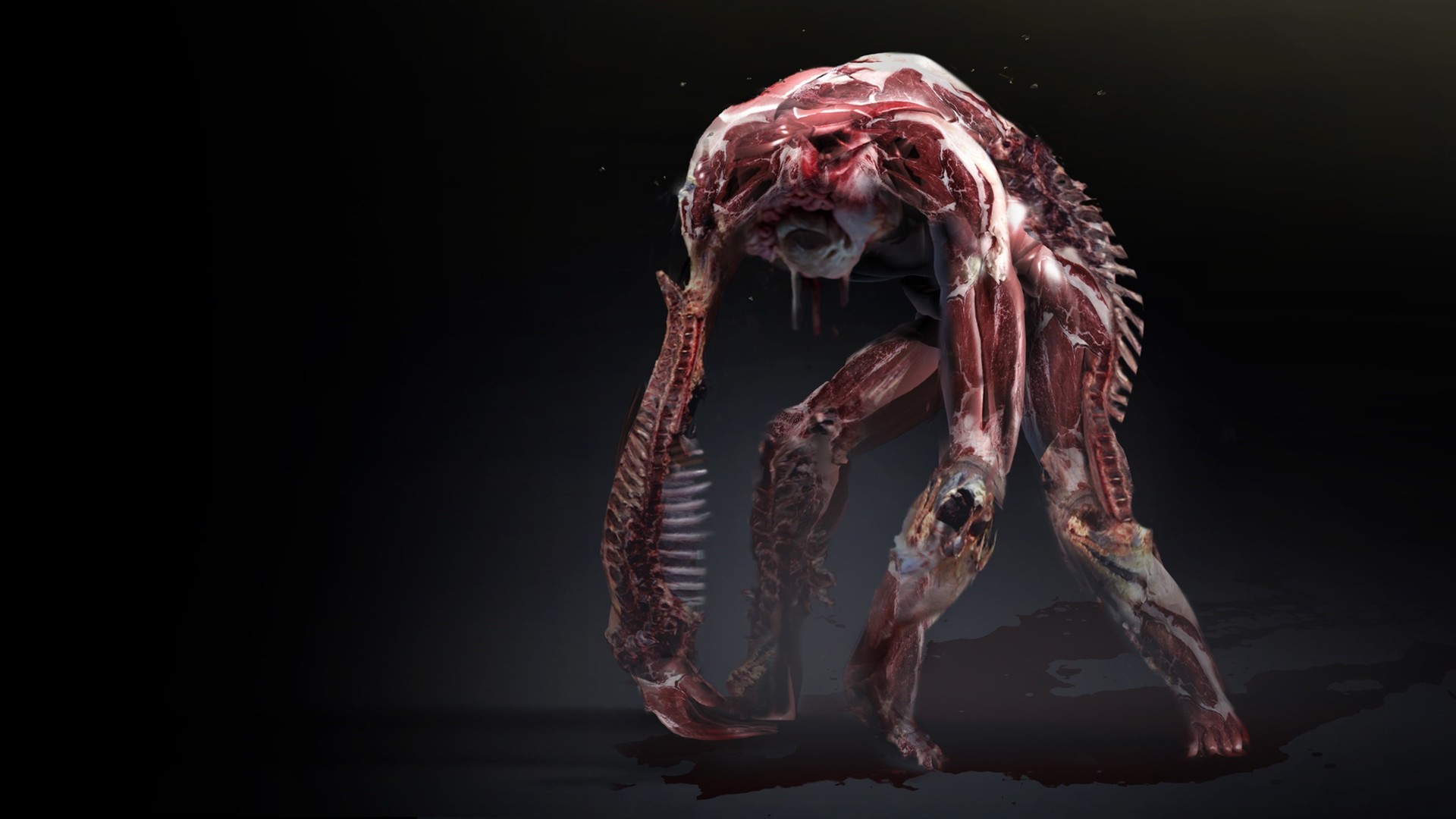 monster hunter meat pillow