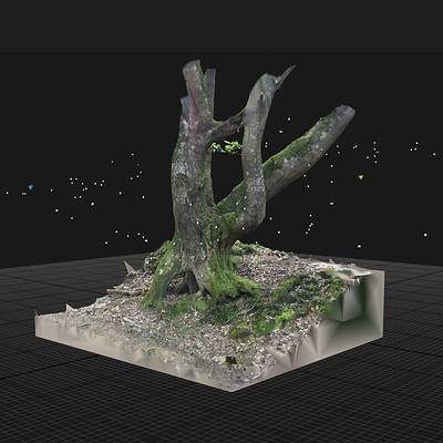 Funky Tree