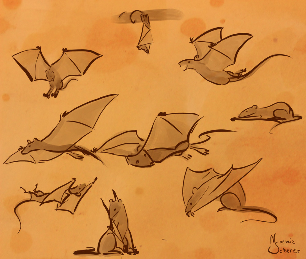 Batrat - nocturnal, social, live in cities - very smart
