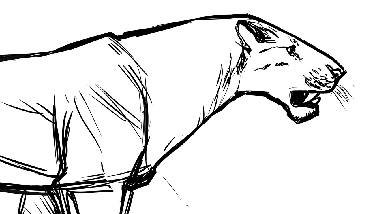 sketch