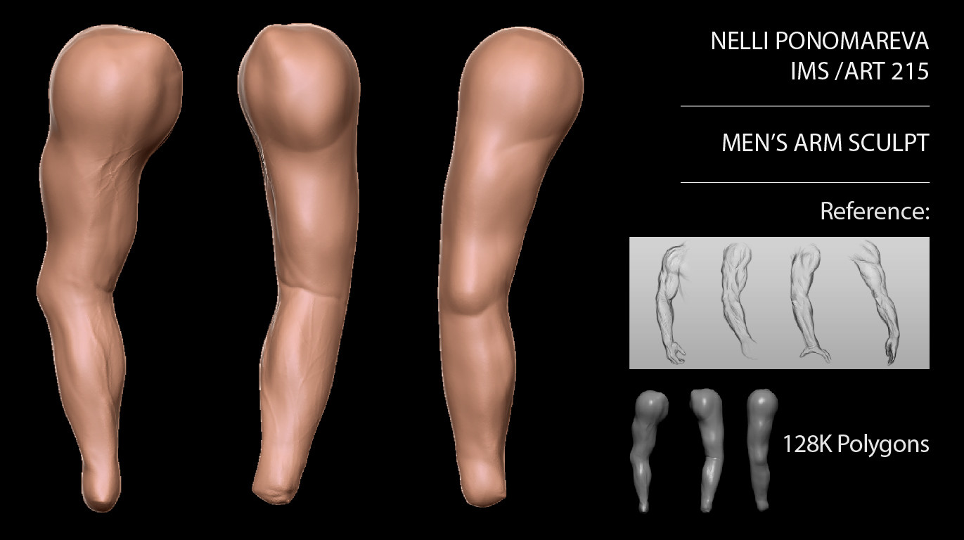 Male Arm Reference See More Ideas About Arm Anatomy Anatomy Reference Anatomy 30 inches high x 6.5 inches wide x 6.75 inches deep please note: aller