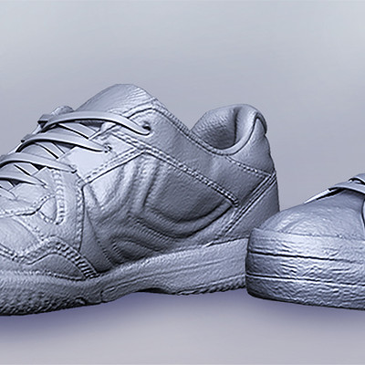 Chasse deals proflex shoe