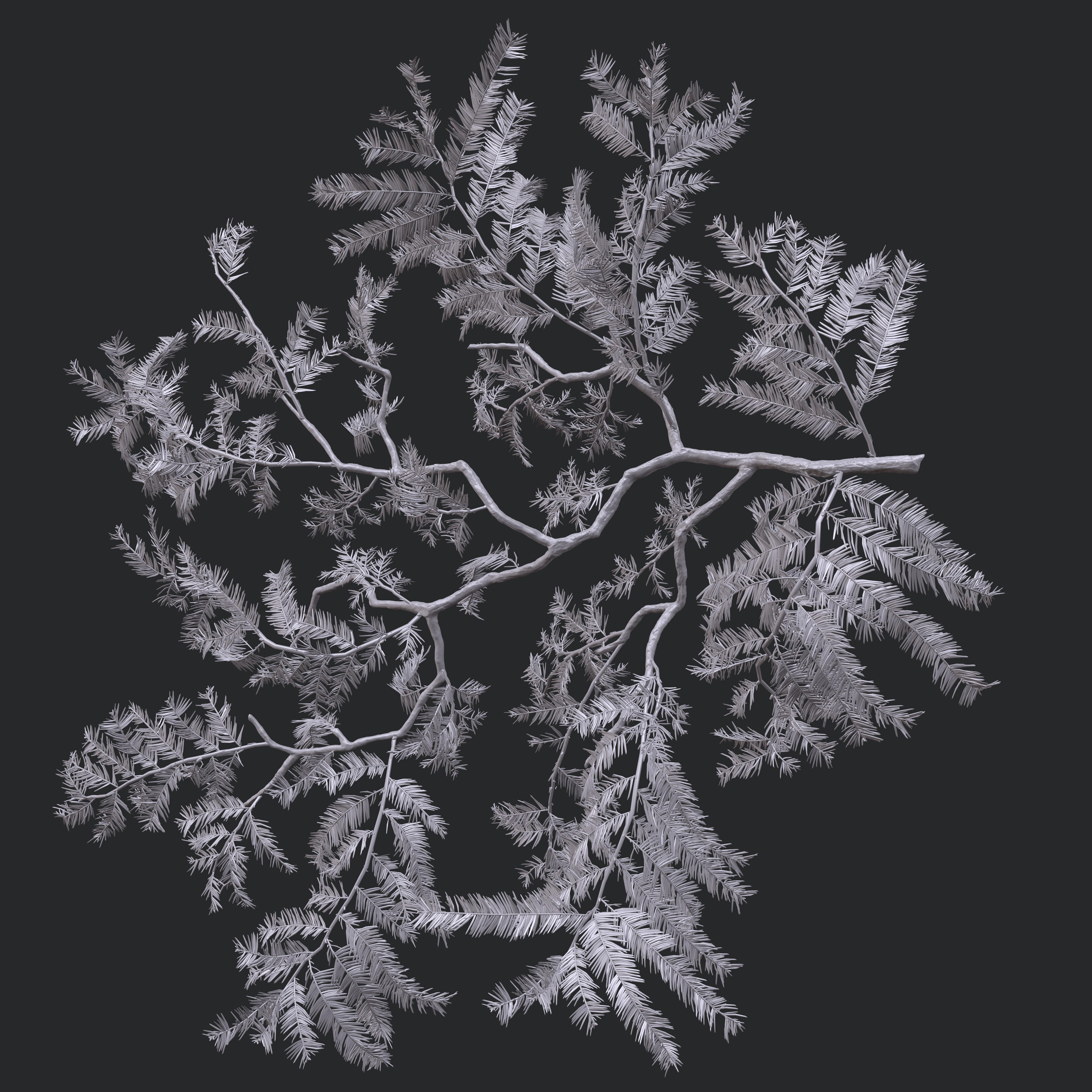 High poly branch which consists of both the branches made in Maya as well as the big branch sculpted in Zbrush.