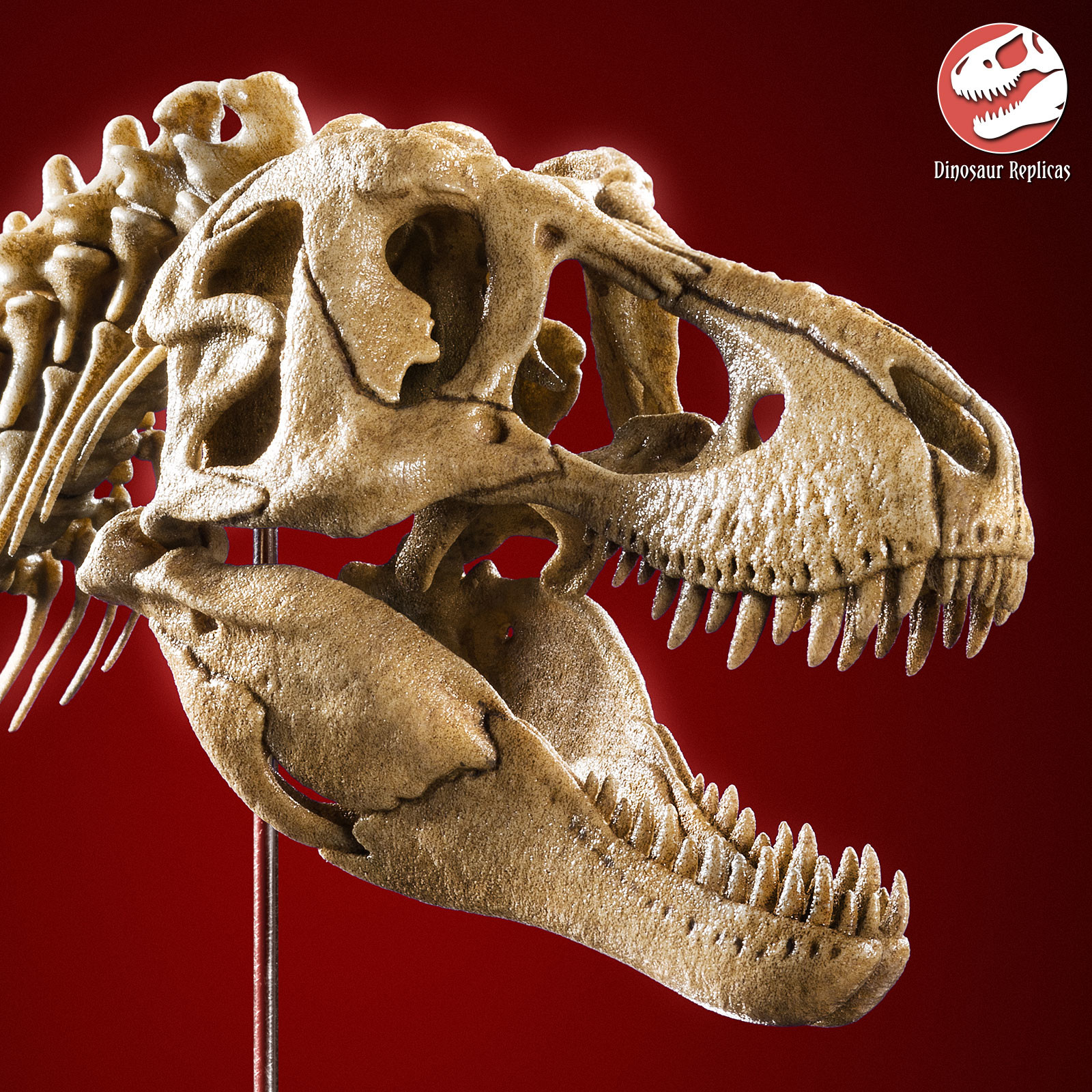 Artstation 3d Printed Dinosaur Skull And Neck Tyrannosaurus