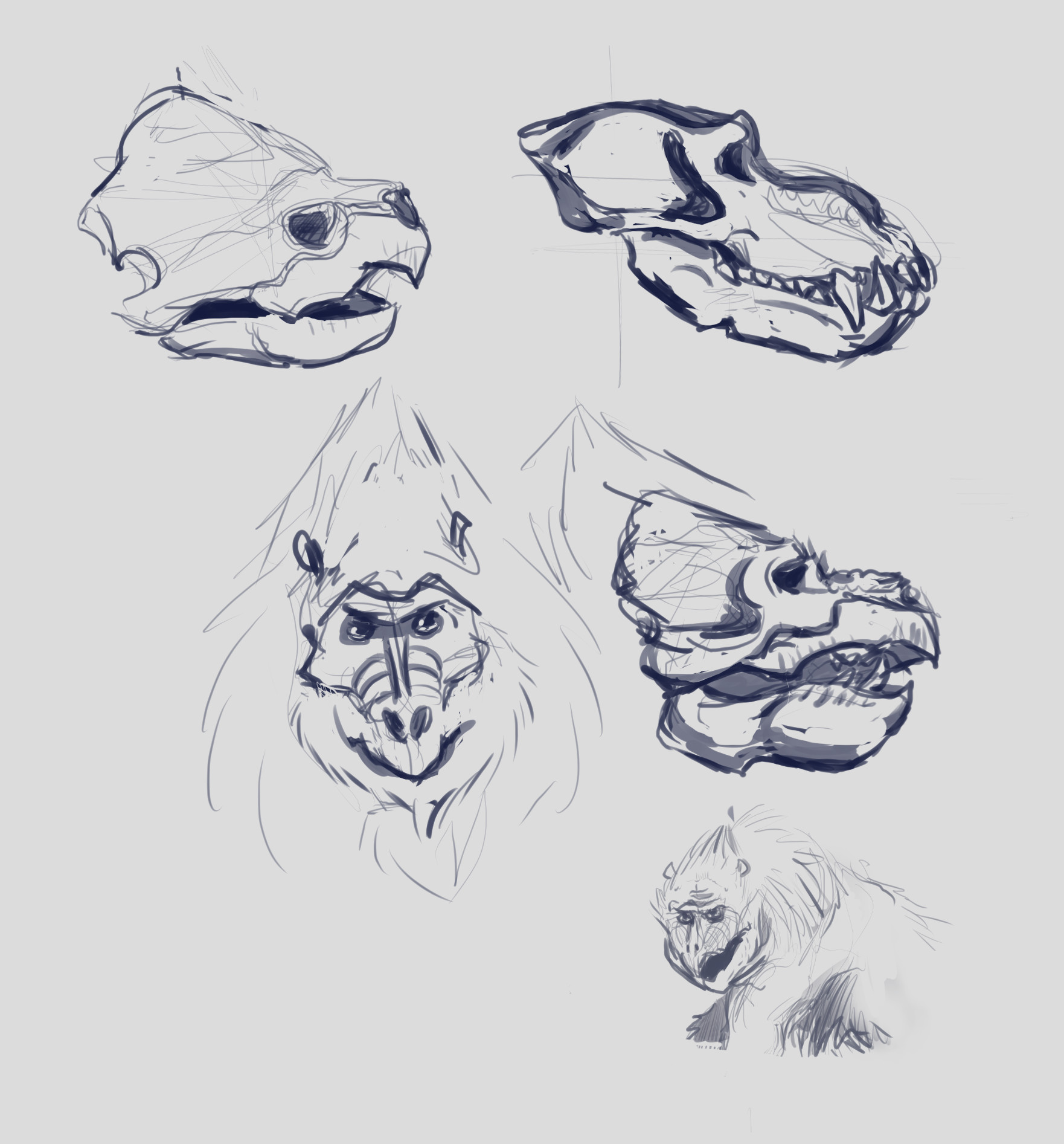 Artstation Ape Turtle Creature Concepts Cara Alexander