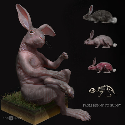 Dariusz andrulonis 01 bunny buddy