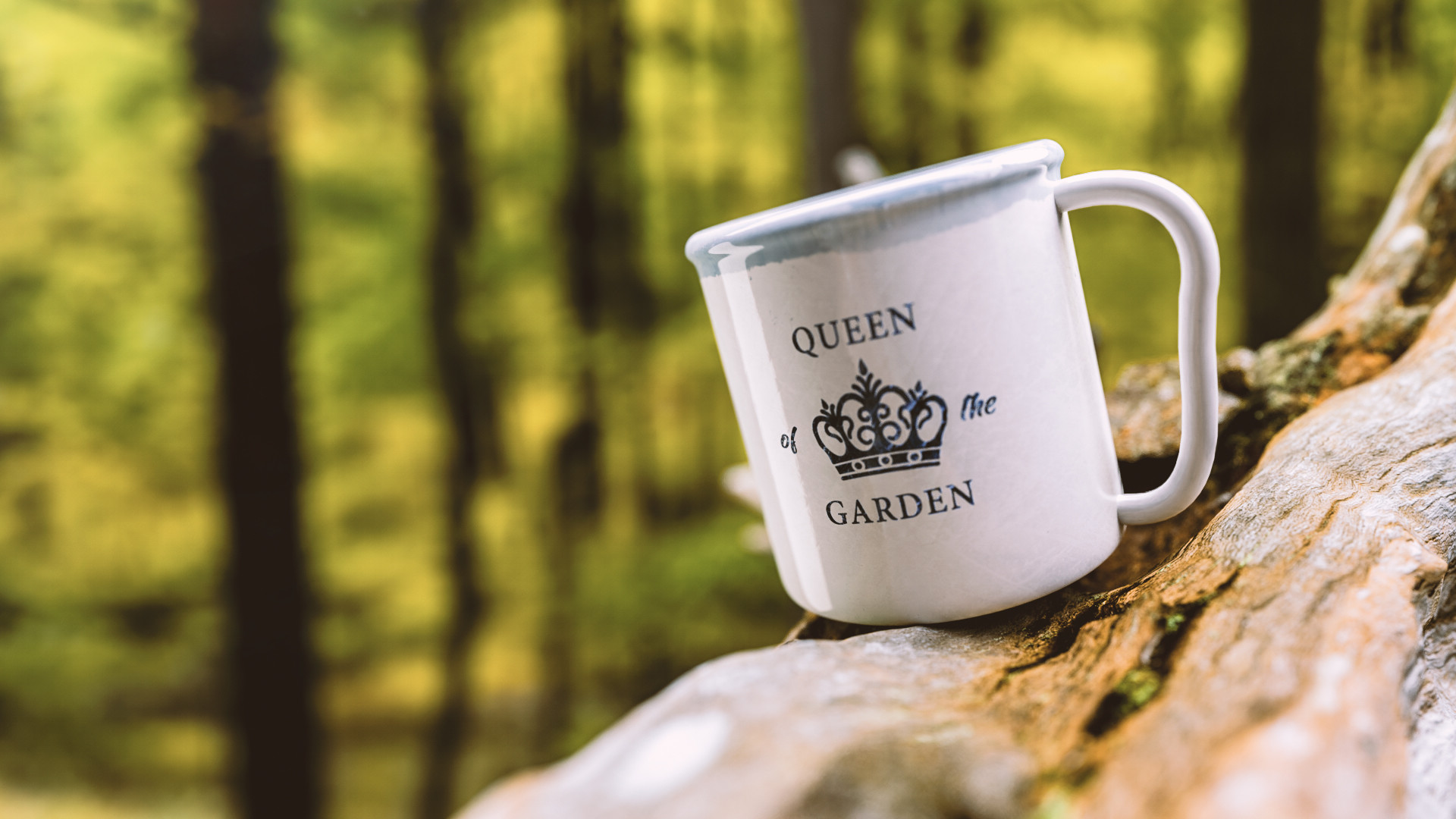 Queen of the Garden - My wife's favourite mug reimagined in C4D