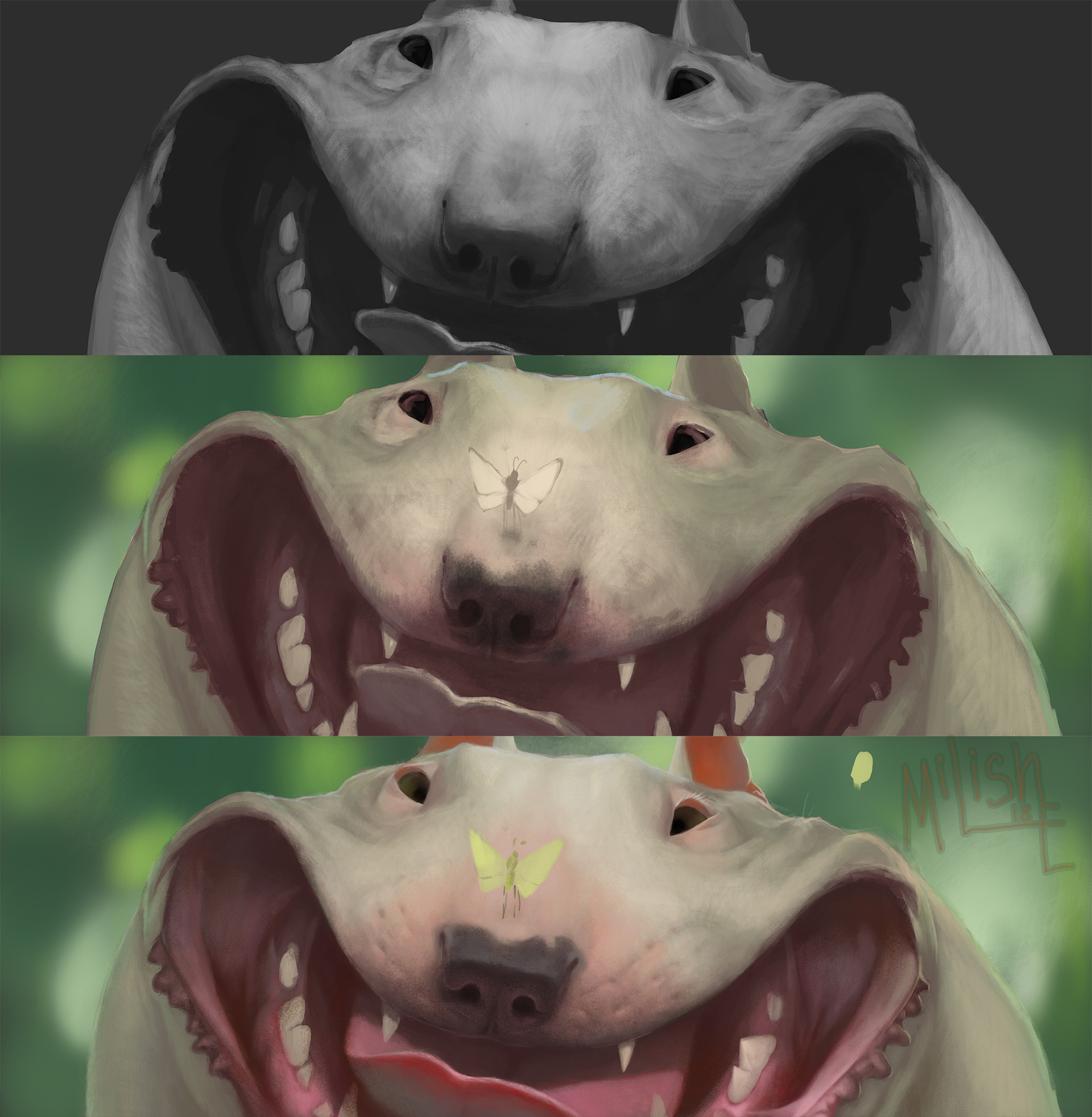 Bull hot sale terrier smile