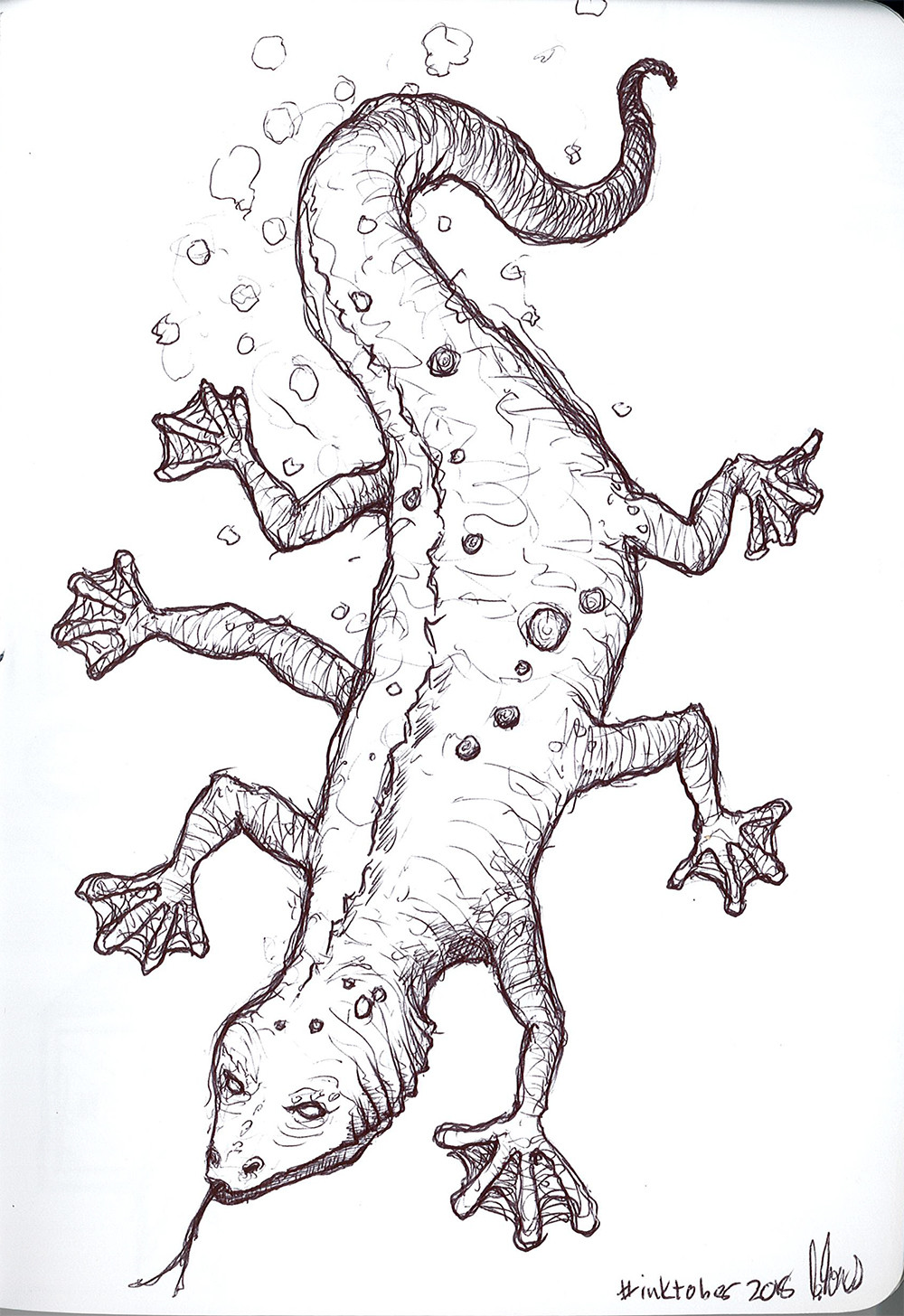 06 6 legged salamander