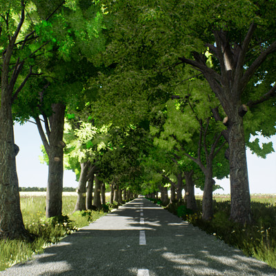 Country Road - Art Test Environment Work