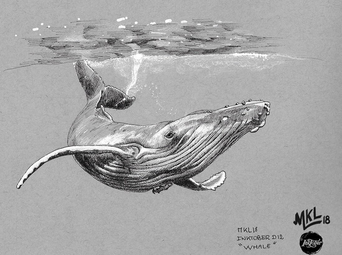 Inktober Day 12 : Whale