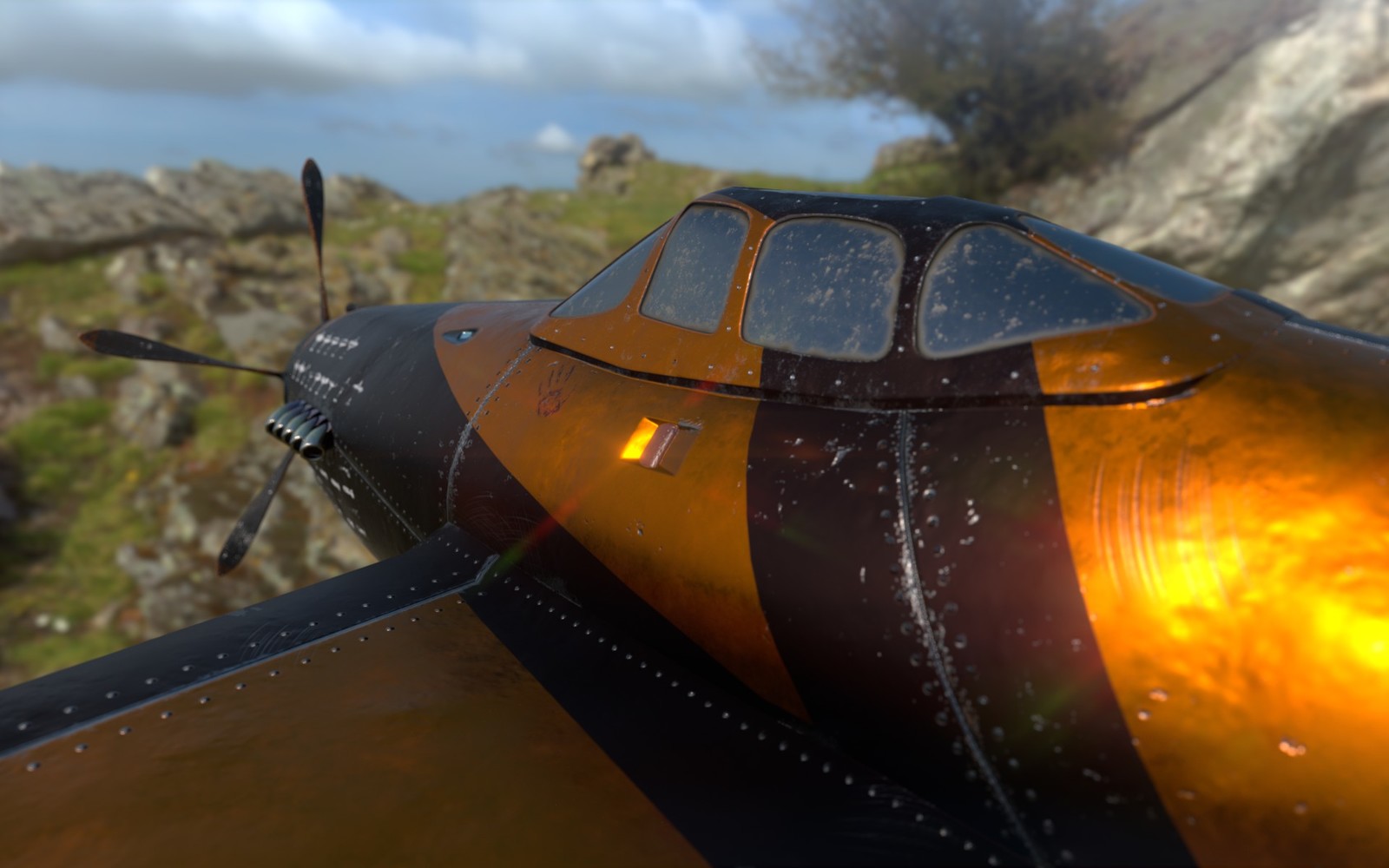 Cockpit details