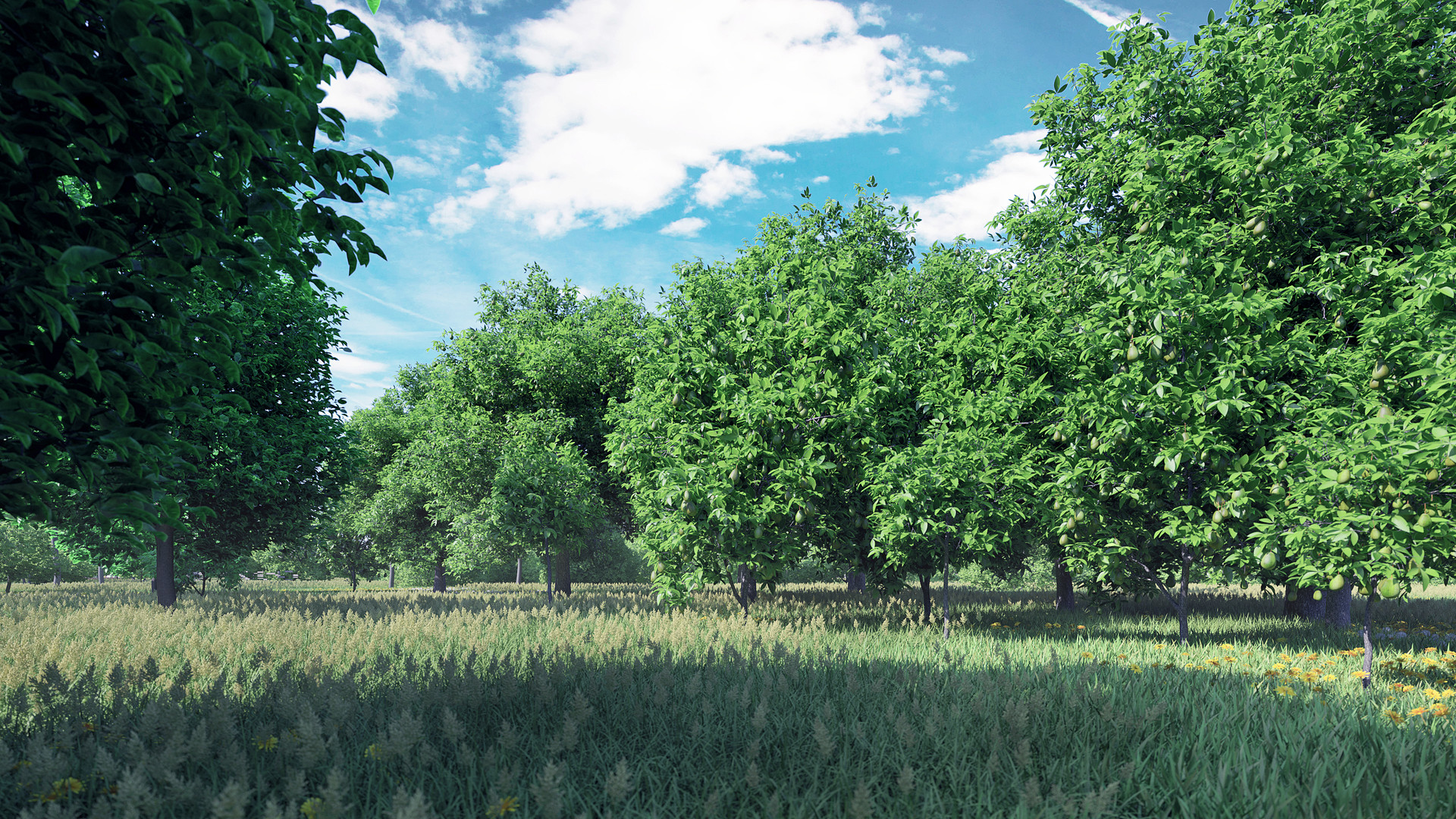 Artstation Orchard Cgaxis 3d Models