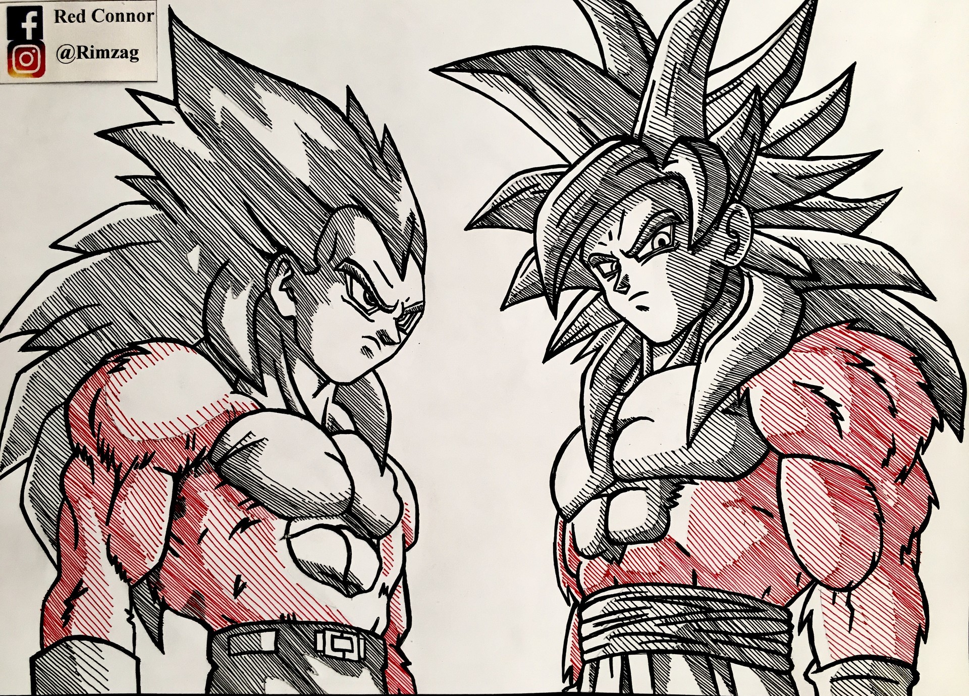 Artstation Goku And Vegeta Ssj4 Red Connor