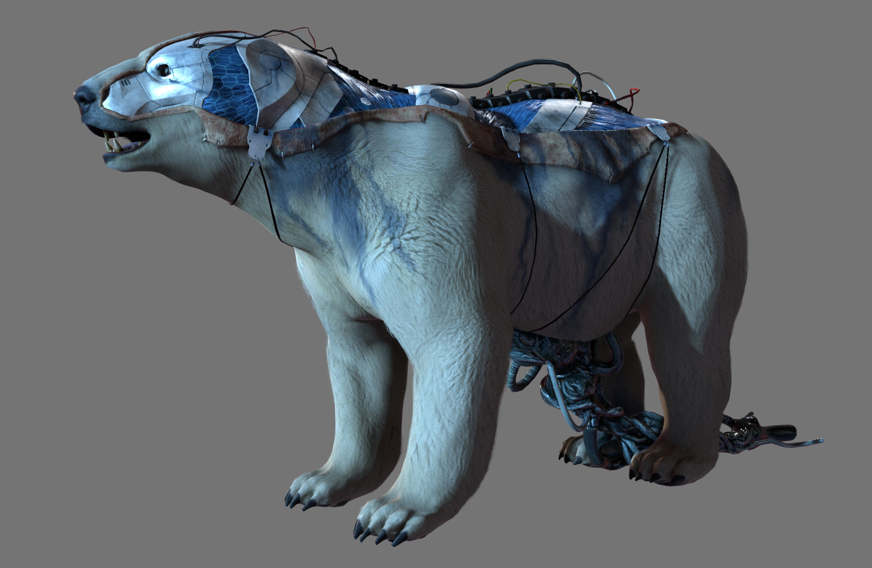 Polar android discount