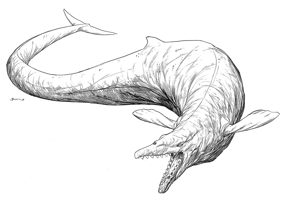 Jon Bosco Inktober 2018 Part 1