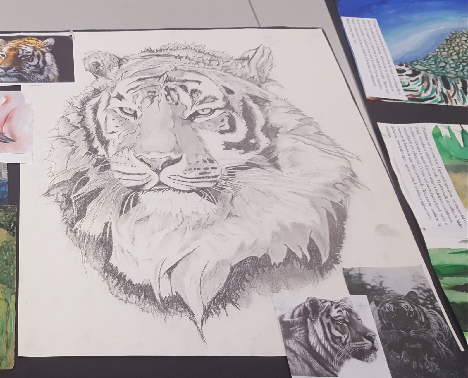 Artstation Tiger Realistic Pencil Drawing Caitlin Mccann
