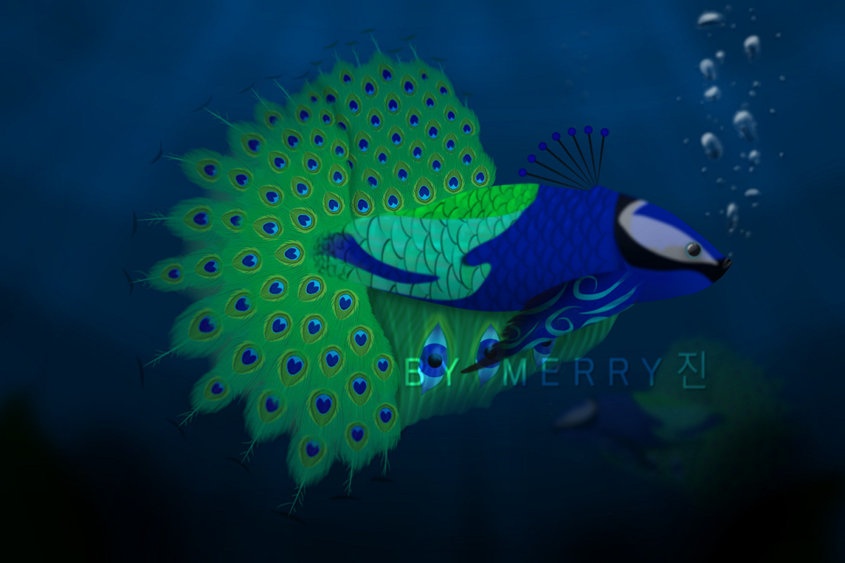 Peacock on sale betta fish