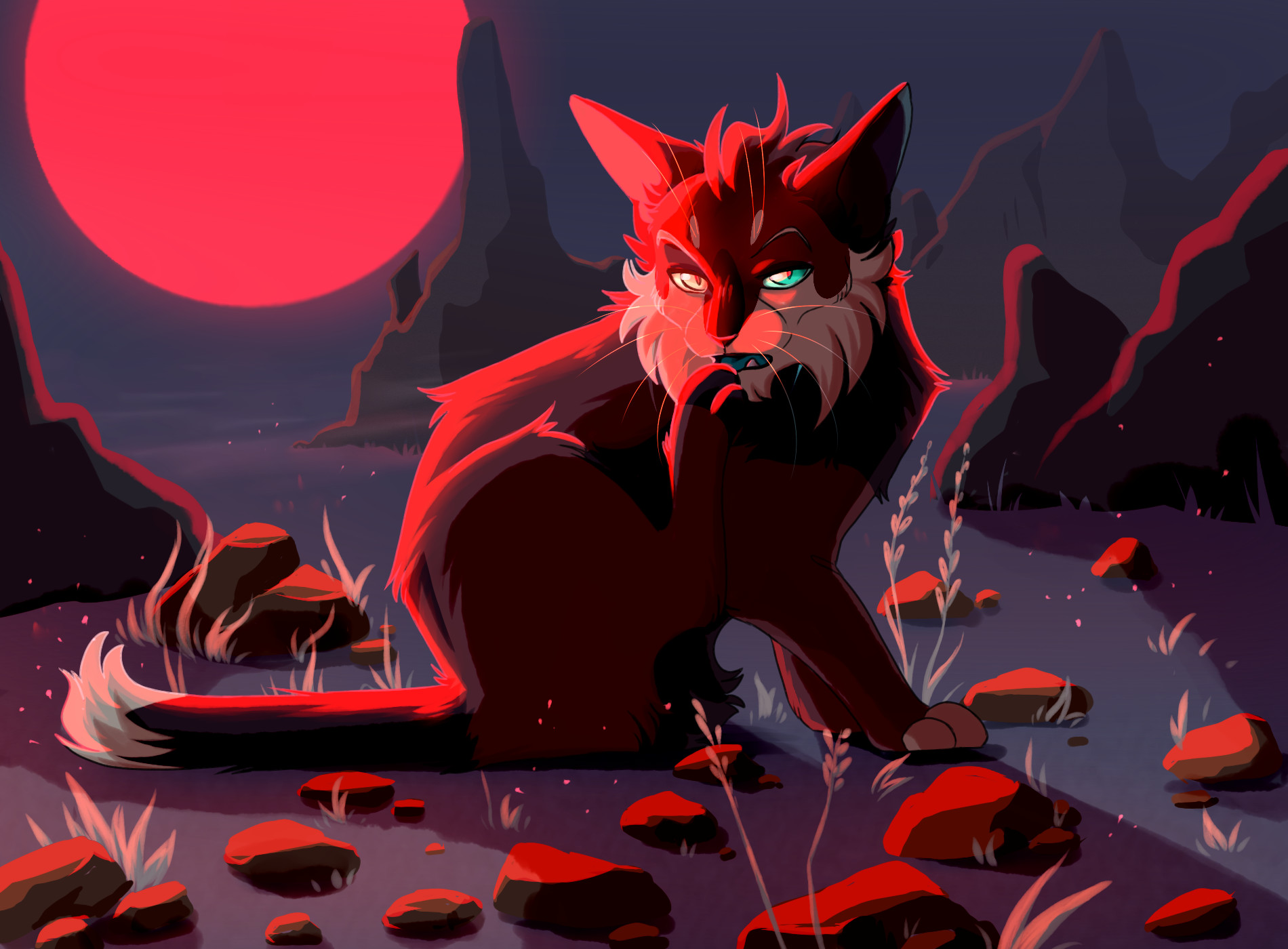 Artstation Cursed Land Toby Kitten