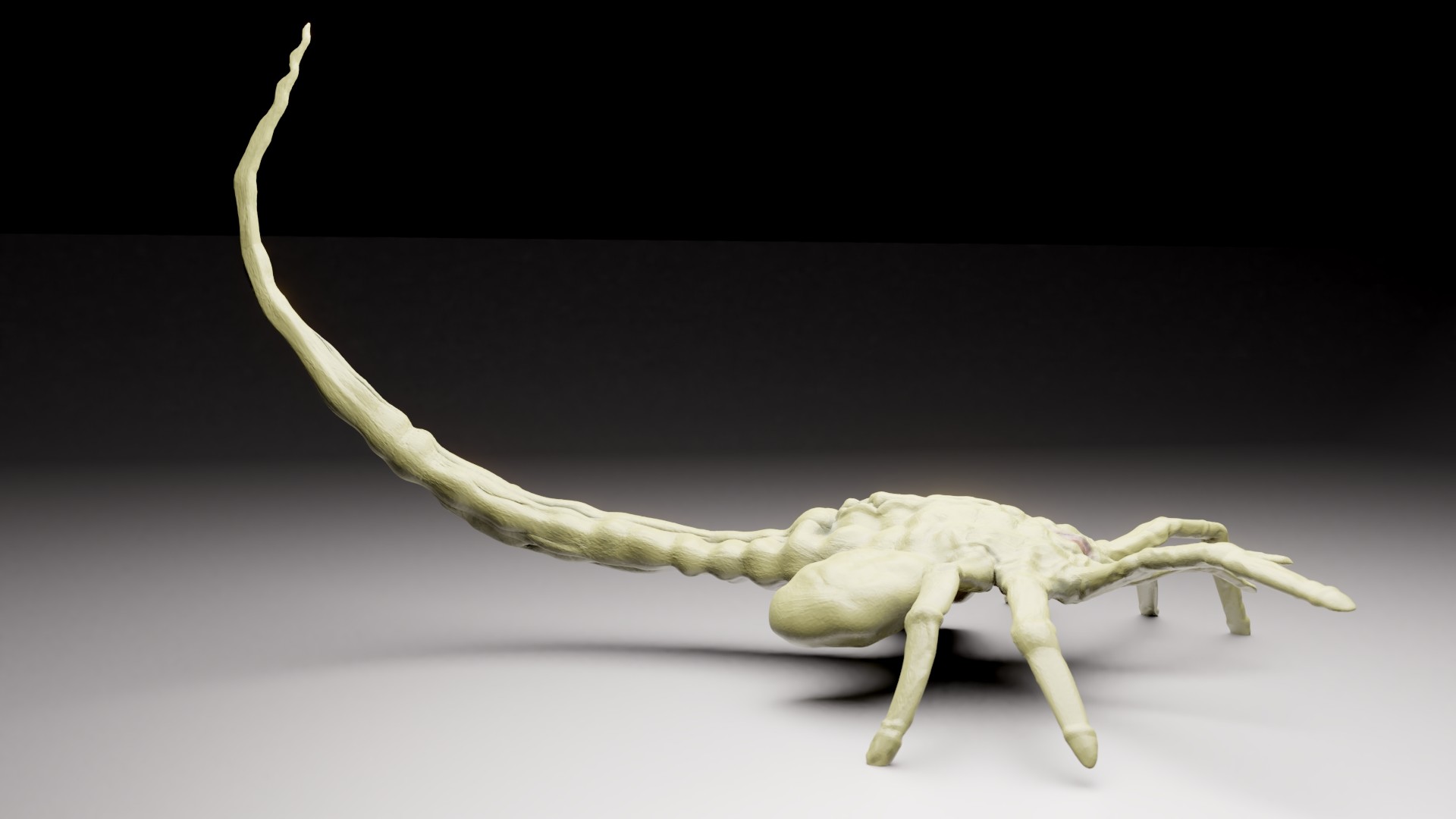 Mona X Facehugger