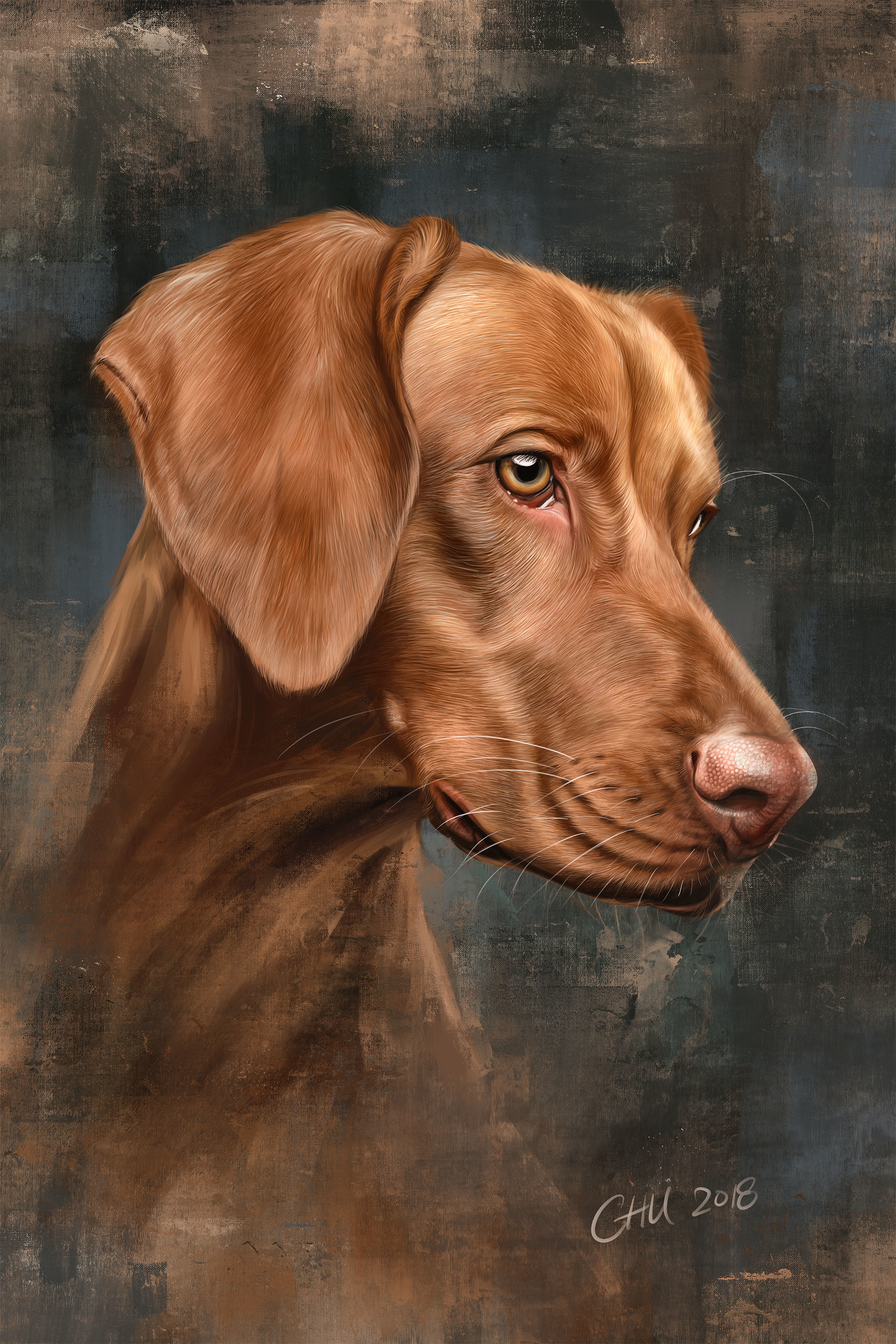 procreate dog portrait