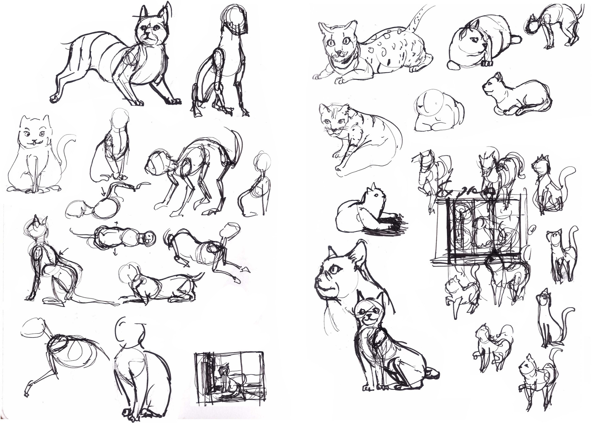 Katty Yew Bengal Cat Illustration Brown spotted tabby bengal cat. katty yew bengal cat illustration