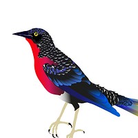 Artstation Affiche De Concert Pour Groupe De Musique