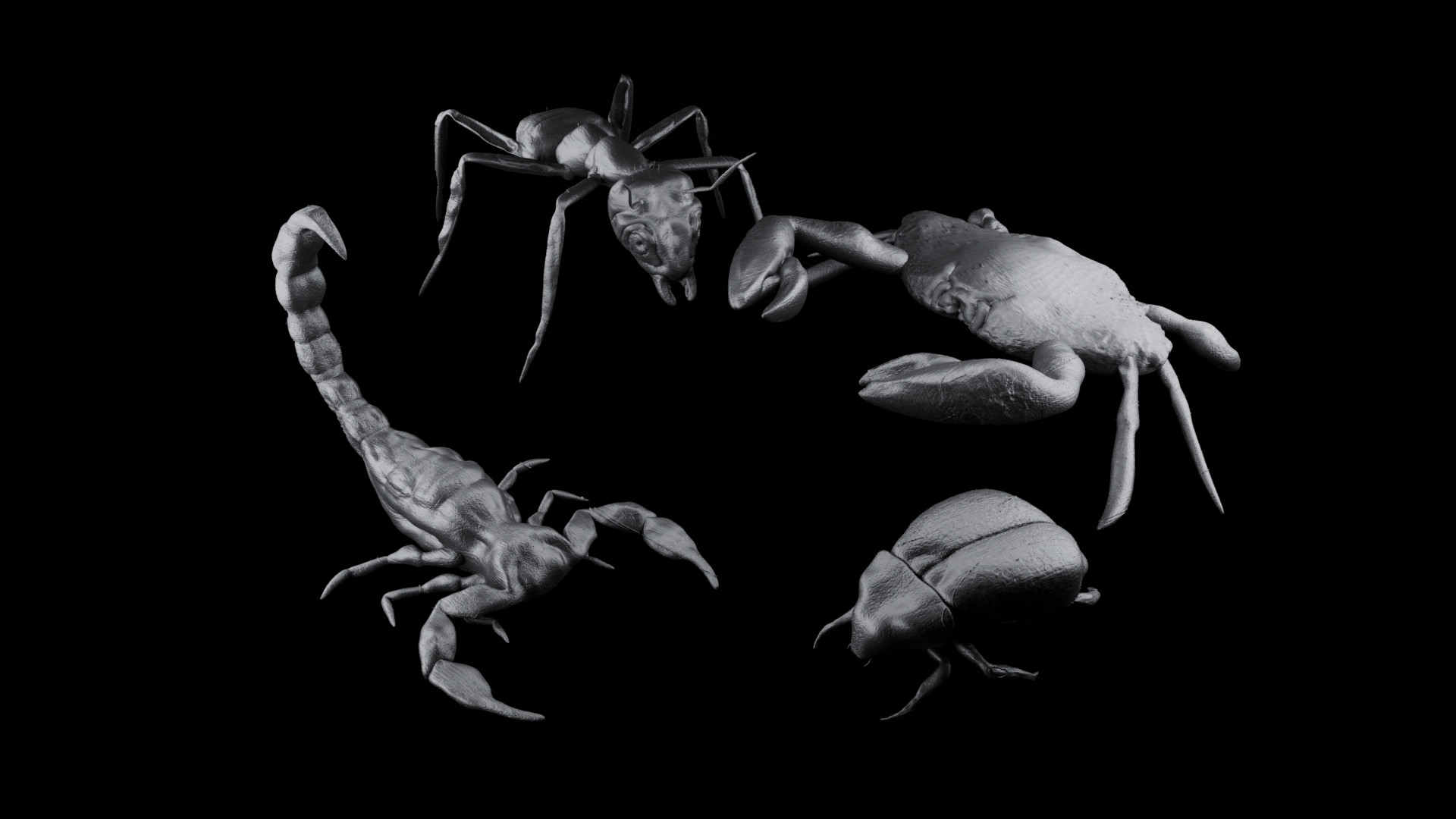 Ant, Scorpion, Crab and a random Insect... in ZBrush and Cinema 4D!