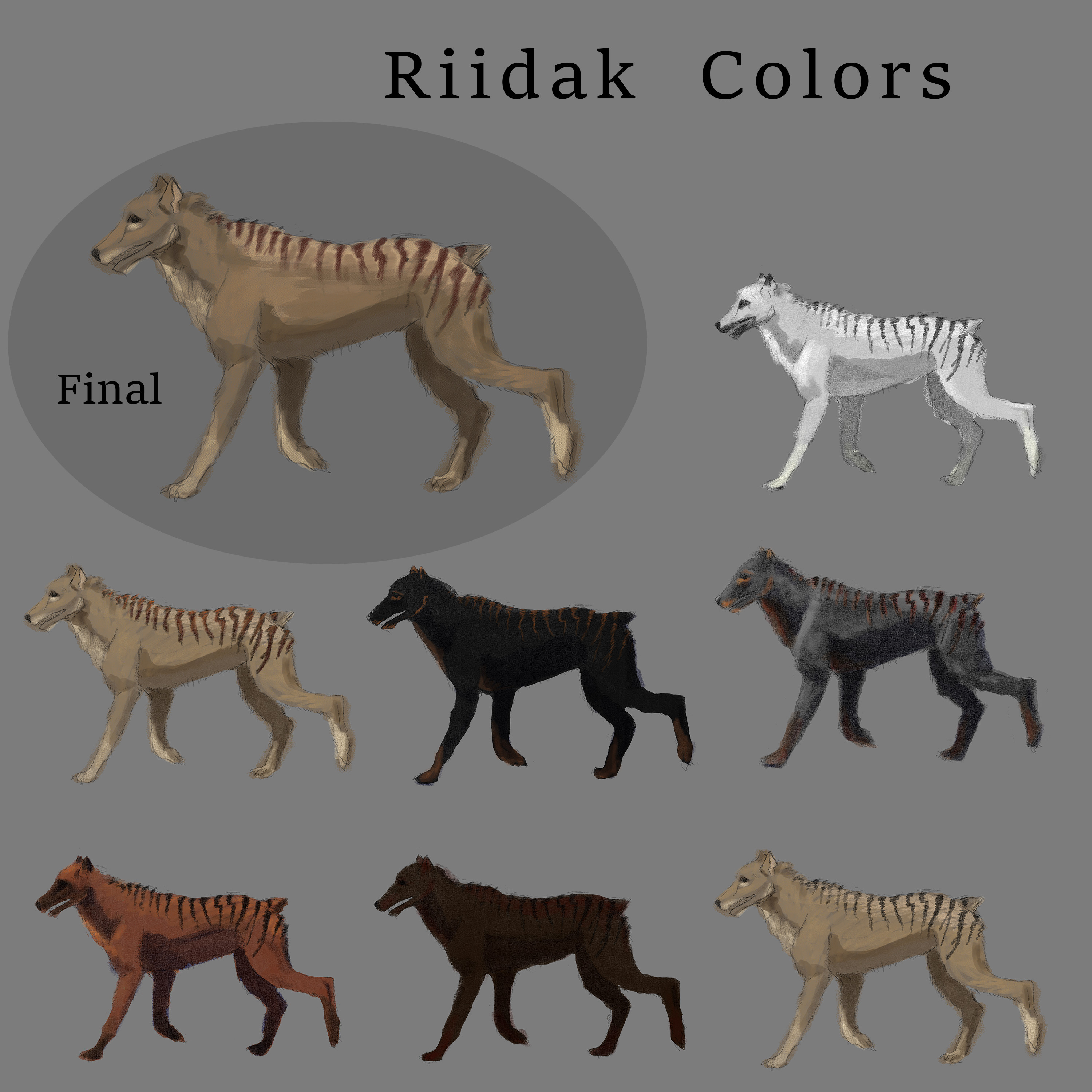 Visual development for Riidak