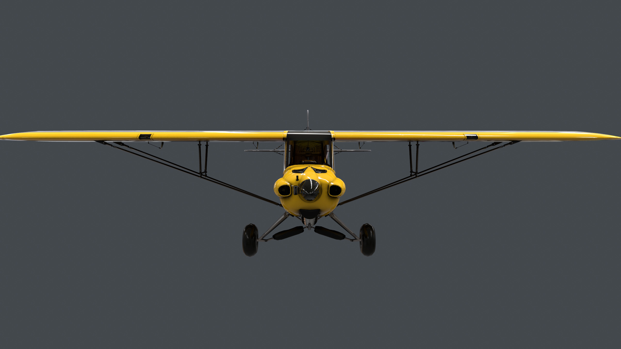 Hangar 9 Carbon Cub 15cc