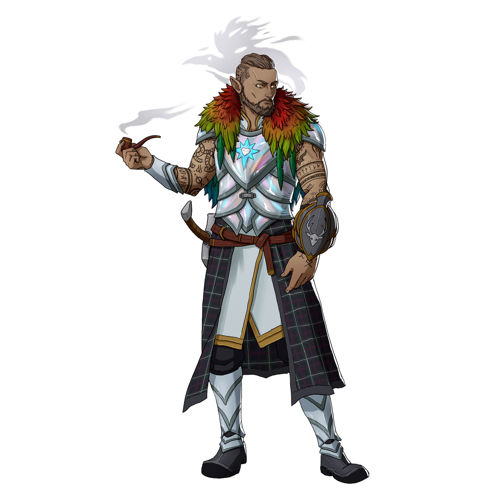 njall, Half-elf Socradin
