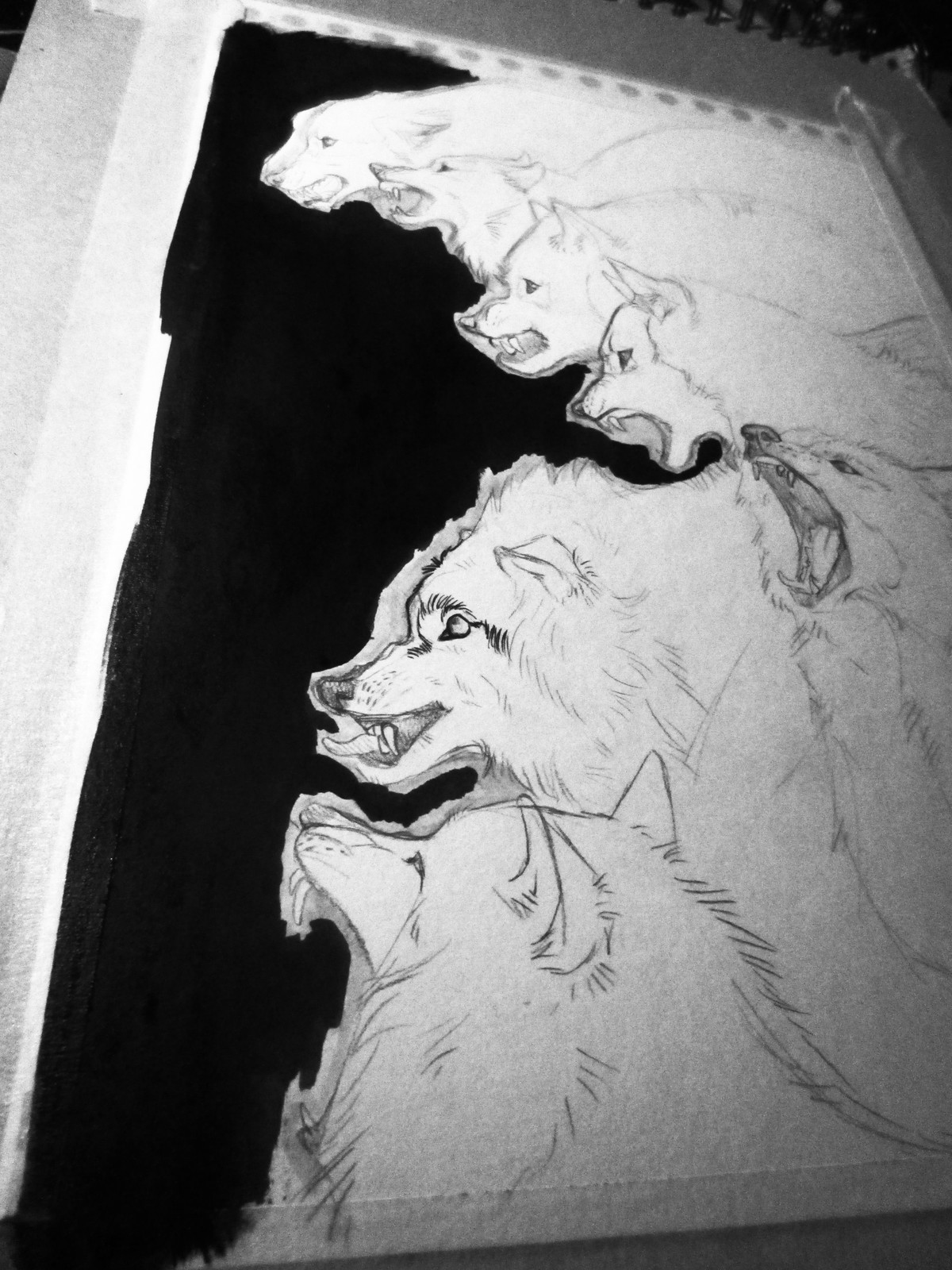Seven wolves