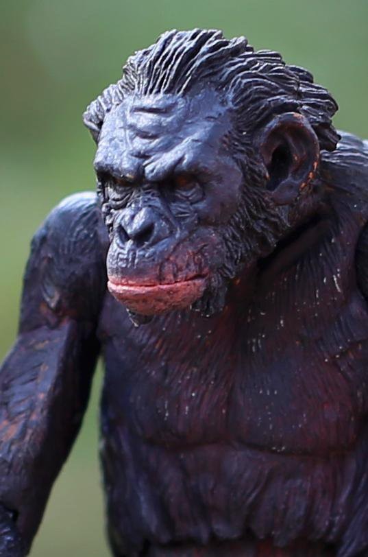 Toyhandle - NECA Ape Repaints