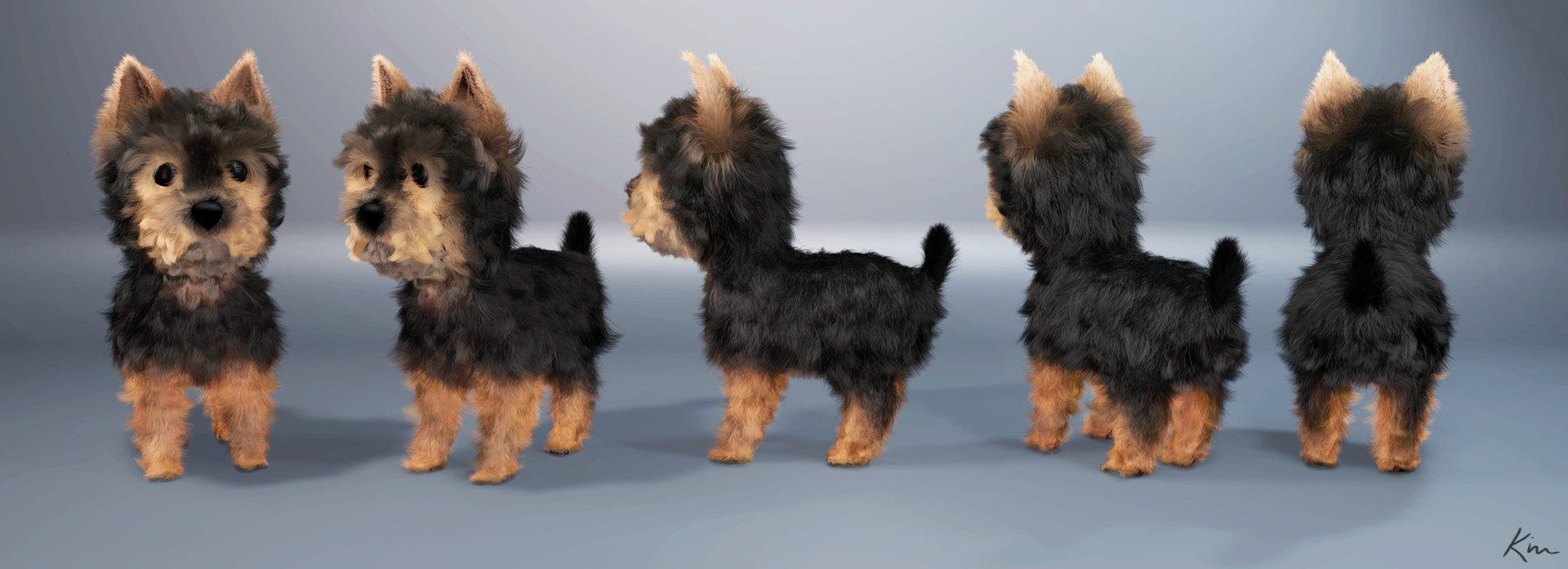 Cute hotsell little yorkies